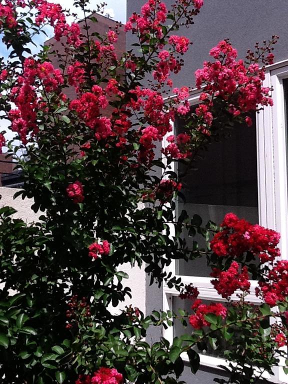 South Bridge Bed And Breakfast Philadelphia Exterior foto